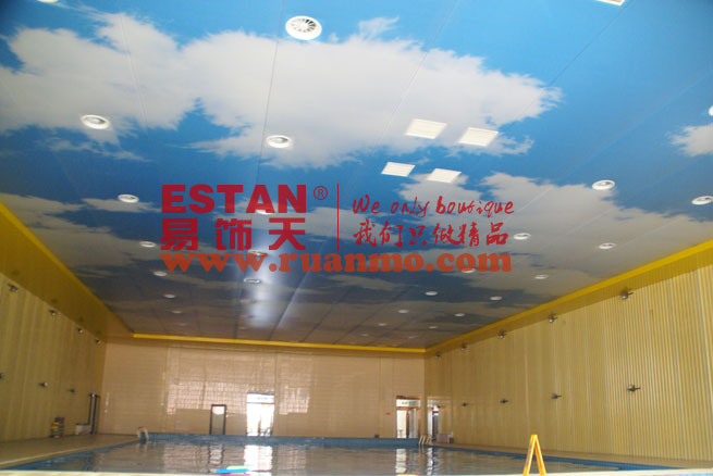 企業(yè)游泳館